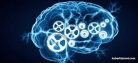 Beynin ‘B Planı' akıllı robotlarda kullanılabilir!