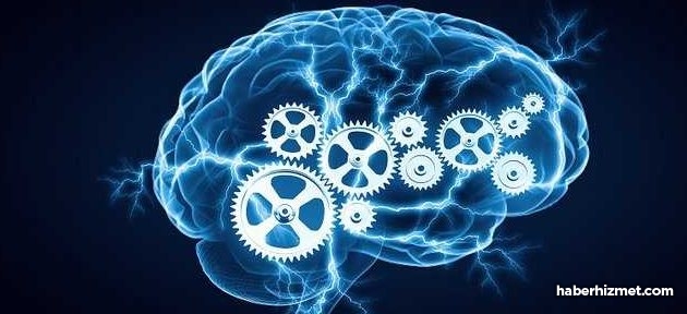 Beynin ‘B Planı’ akıllı robotlarda kullanılabilir!
