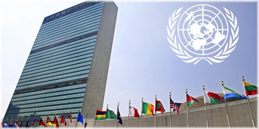 Birleşmiş Milletler'in Türkiye - Hollanda açıklaması!