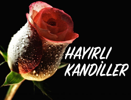 2016 Kandil Mesajları indir - Mevlid Kandili Özel Anlamlı Mesajlar ile Kandil Kutlayın