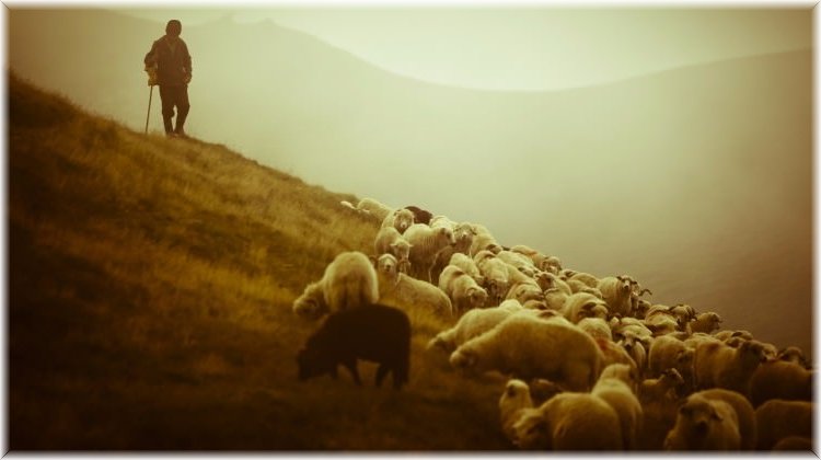 Bir ilk gerçekleşiyor: Çoban Fuarı!